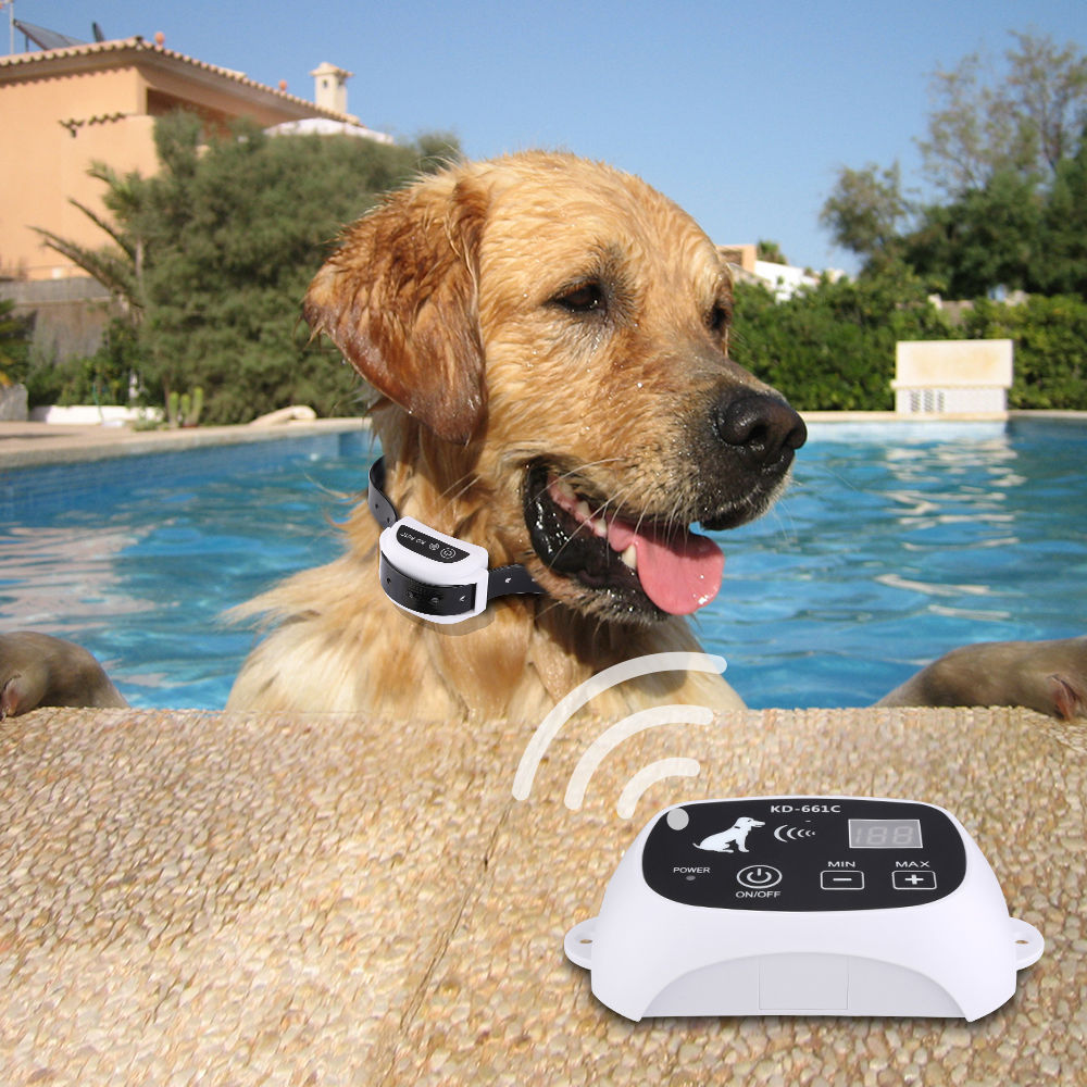 PetSecure – Collier récepteur et émetteur pour périmètre sécurisé