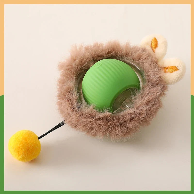 Jeu de cache-cache pour chat avec tapis