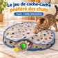 Tapis de jeu interactif ABKANOVA avec balle rechargeable pour chat